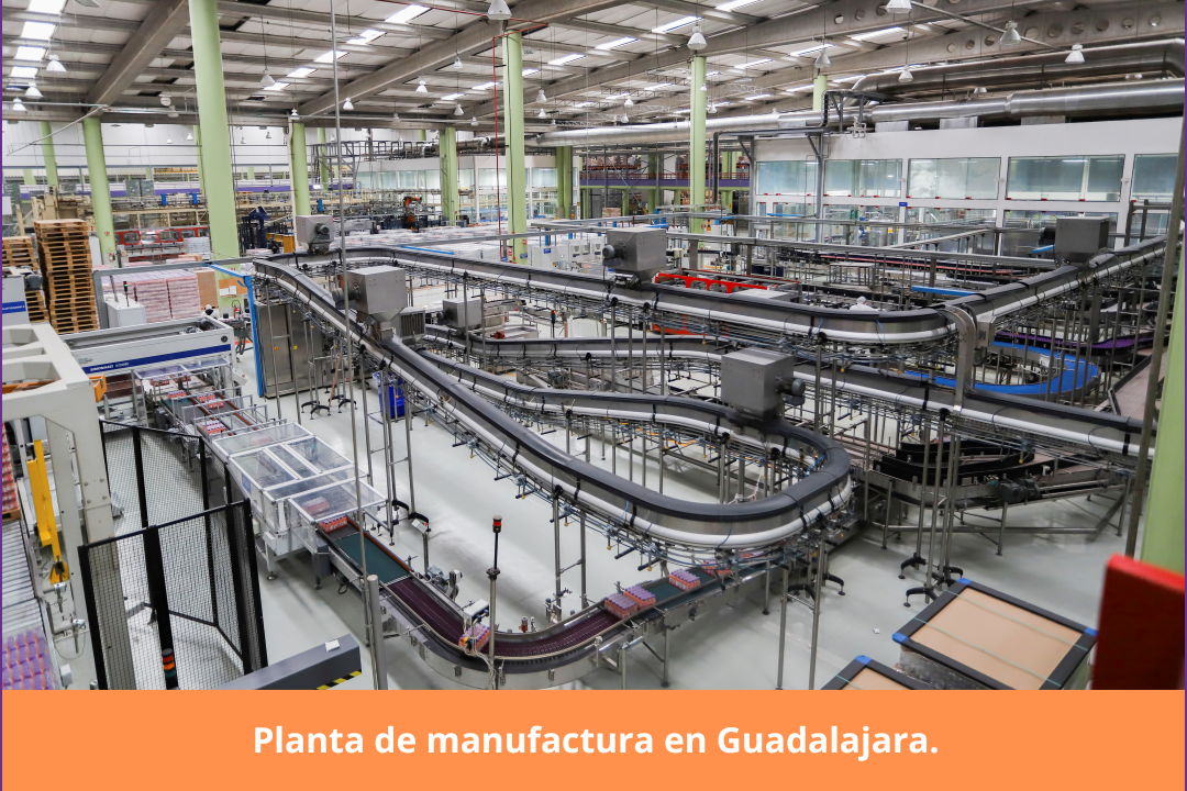 Planta-manufactura-marco1